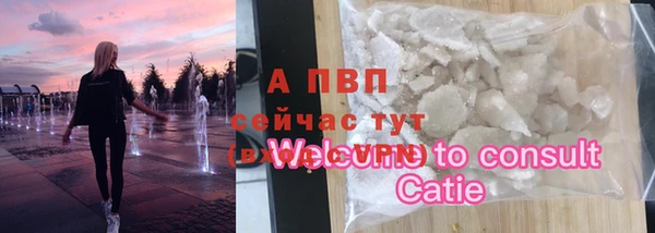 хмурый Вяземский